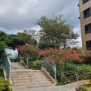 스위트단지내공인중개사사무소 이미지