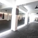 플렉스 복싱 이미지