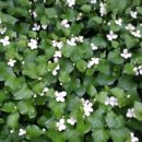 국사봉농장 이미지