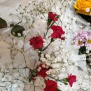 세일장례식장 이미지