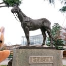 현창목장 이미지