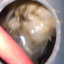 회원동125 이미지