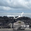 버스정류장 07-658 | 제주에서의 3주_02.2일차