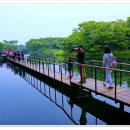 수정-117 이미지