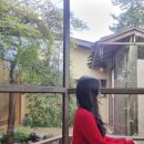 심미안 | [부산] 청사포 말차 카페 심미안 후기