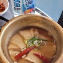 빨간꼼장어 이미지