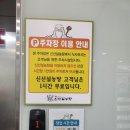 신선설농탕 고척점 | 구로 고척동 맛집 신선설농탕 포장 후기