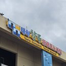 (주)한국타이어 포항총판 | [25년 가을 울릉도] 울릉도 여행 후기