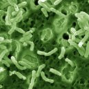 송영신목장 이미지