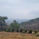 1351 | 오지산행후기(1351차) 양감 봄나물 정찰산행 2026.04.05(일)