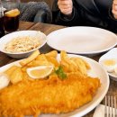 솔 피시 이미지