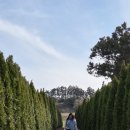 다다목장 이미지