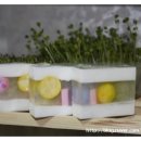 동그리솝 이미지