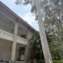 아름다운 개 | 세상에서 제일아름다운 대학교 샤먼대학교 후기