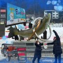 동일얼음 | 평창송어축제 주말 일요일 얼음낚시 후기 복장 꿀팁 총정리
