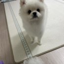 인생설렁탕 전남보성점 이미지