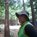 영일카센타 이미지