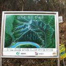 명덕 관광농원 이미지