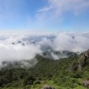소원'香향