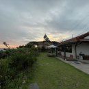 선바우 집 이미지