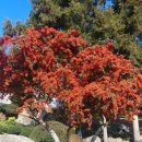 이일농장 이미지