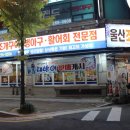 울산조개어판장 - 중구 성안로 220 | 울산조개어판장