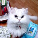 다래동물병원 이미지