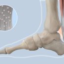 큰길정형외과의원 이미지