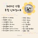 아이들천국(꿈초롱)유치원 | 대구애견유치원 댕큐 후기 ㅣ 대구독피트니스 + 수중재활까지 가능한 찐빵이 첫 등원기 !