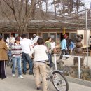 등나무민박 이미지