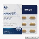 알파종합관리 네이버블로그