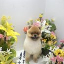 멍그라미 이발소 이미지