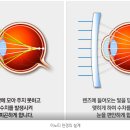 다비드안경 이미지