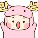 포항패킹