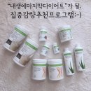 바비다이어트