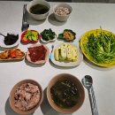 창원 산후도우미 초산맘 후기, 신생아 케어와 맞춤형 관리가 만족스러웠어요