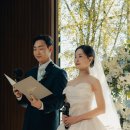 일요일(특별) 이미지