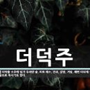 더덕의 효능 5가지 부작용 보관법 손질법 이미지