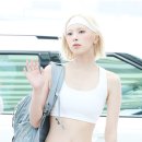 배이