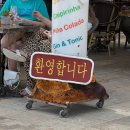 바르셀로나 05 몬시투어 / 모리츠수제맥주
