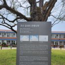 제중한식촌 이미지