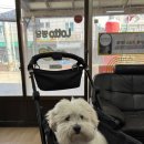 안면도 장터마트 이미지