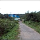 대탄리 풍력진입로 이미지