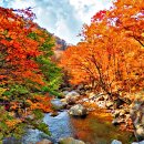 2025년 10월30일 지리산 반야봉-피아골 (전남 구례) 단풍산행 안내입니다. ==＞* 30분 조기출발합니다. 이미지