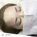 컬러리아 이미지