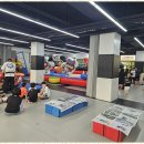 용인대 국가대표 태권도 이미지