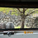 해피 파마씨 이미지