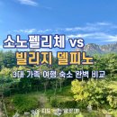 (주)문장건설 | 강원도 고성 델피노 숙소 고민 끝! 소노펠리체 vs 소노펠리체 빌리지 델피노 완벽 비교 (장단점/꿀팁)