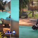 황소목장 이미지