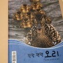 꼬꼬꽥꽥